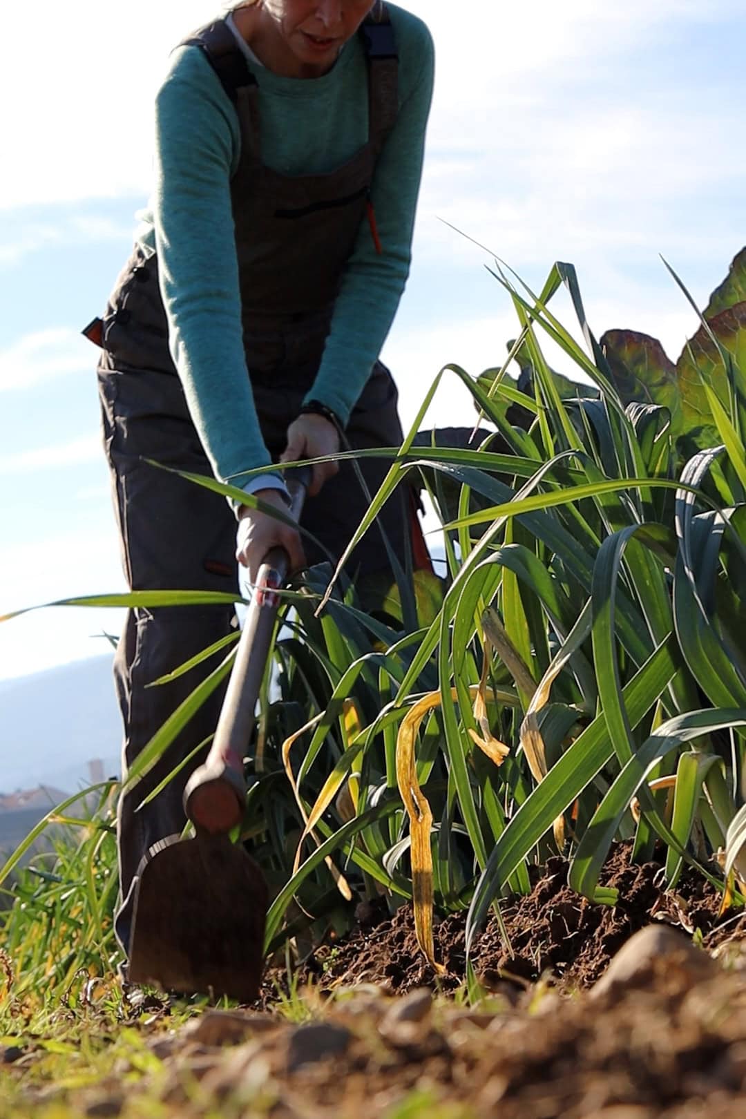 Campanya visual sobre els comunals dissenyada per Sarau Estudi