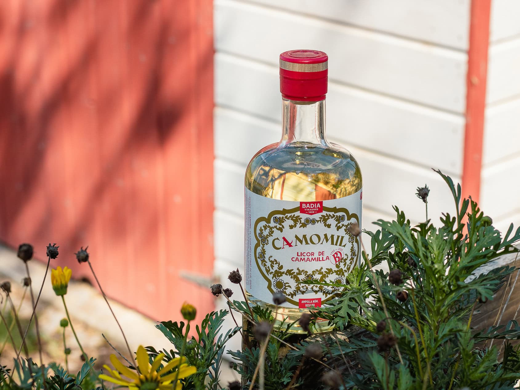 Etiqueta del licor Camomil de Badia Vinagres amb il·lustració de camamilla