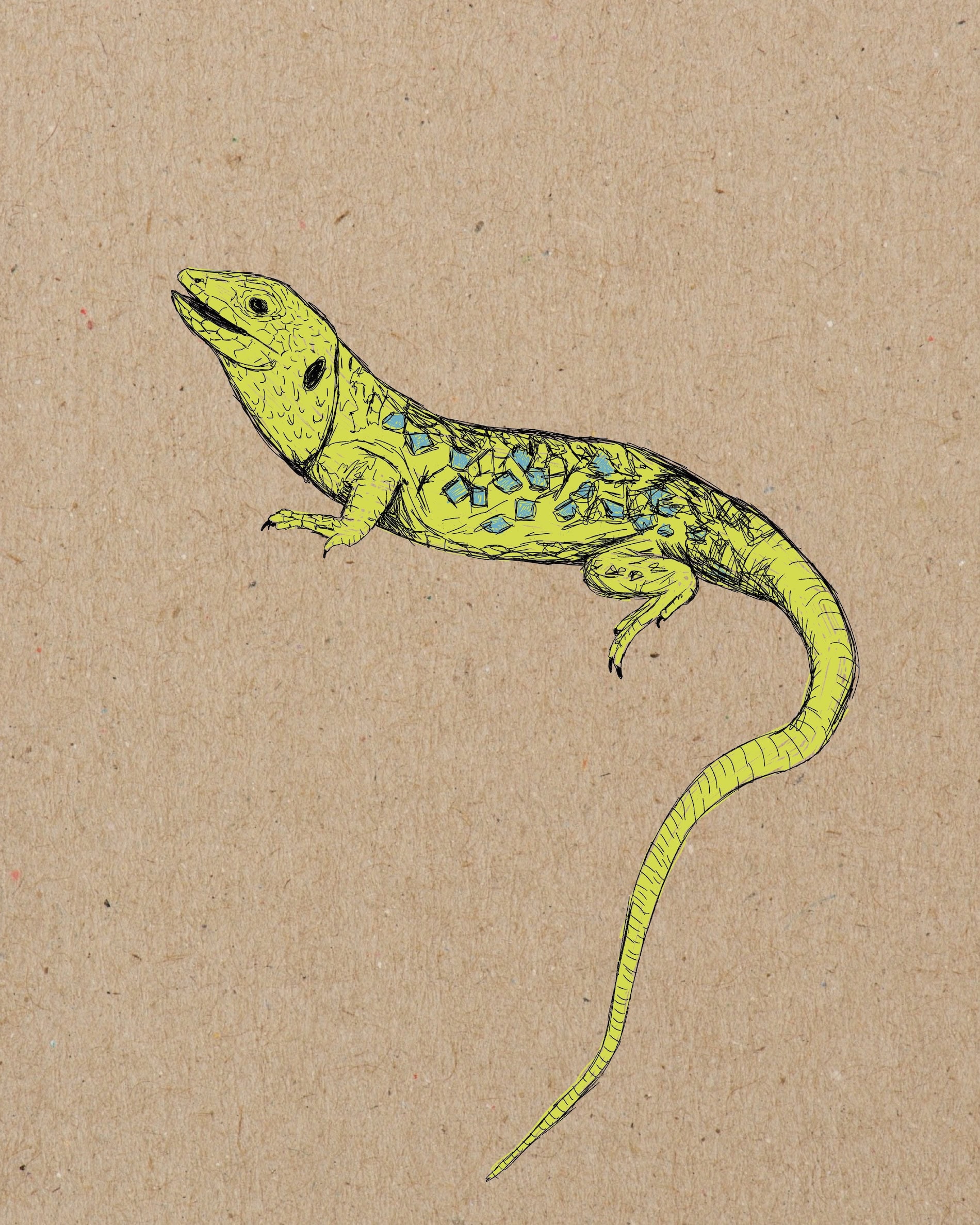 Il·lustració original de Sarau Estudi